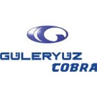 guleryuz logo